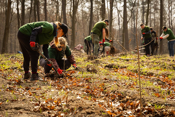 Grupa ludzi sadząca drzewa w lesie.