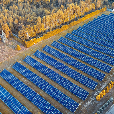 Duża farma fotowoltaiczna z rzędami niebieskich paneli na otwartej przestrzeni jesienią.